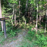 Review photo of Woodenfrog Campground by Roger W., August 7, 2023