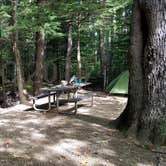 Review photo of Dry River — Crawford Notch State Park by Jean C., October 26, 2018