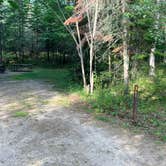 Review photo of Woodenfrog Campground by Roger W., August 7, 2023