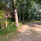 Review photo of Woodenfrog Campground by Roger W., August 7, 2023