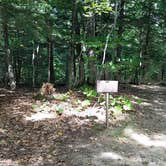 Review photo of Dry River — Crawford Notch State Park by Jean C., October 26, 2018