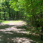 Review photo of Namekagon Lake Campground by Roger W., August 7, 2023