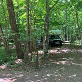 Review photo of Namekagon Lake Campground by Roger W., August 7, 2023