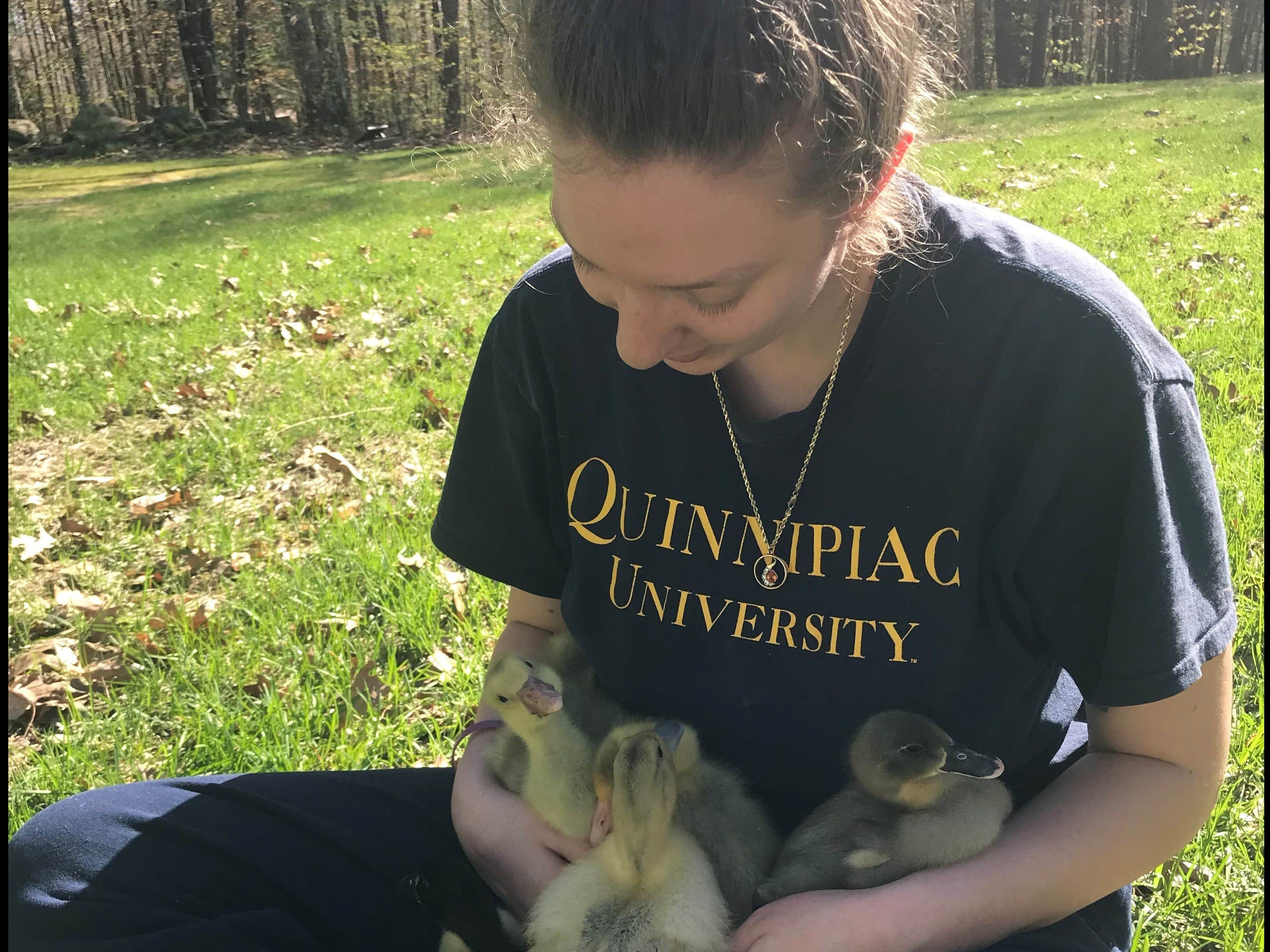 The Dyrt's photo of camping with pets at Tentrr Signature Site - Bagley Pond Waterside near Contoocook, NH