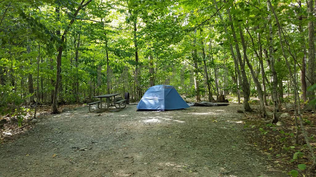 Jean C.'s photo at Dry River Campground — Crawford Notch State Park near White Mountain National Forest