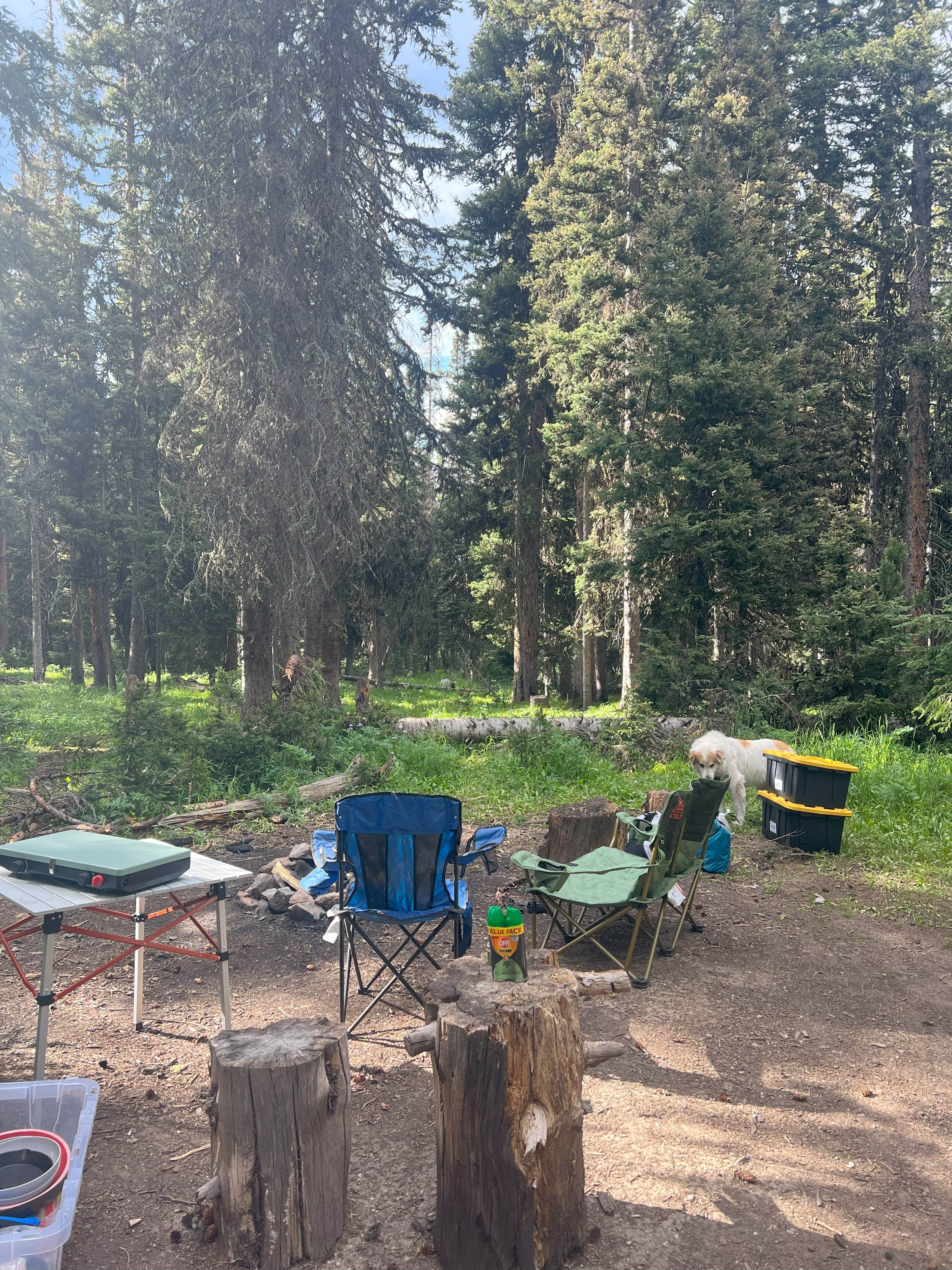 Camper-submitted photo at Rabbit's Ear Pass East Summit FR 251 near Coalmont, CO