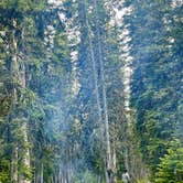 Review photo of Rabbit's Ear Pass East Summit FR 251 by Catherine L., August 7, 2023