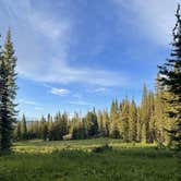 Review photo of Rabbit's Ear Pass East Summit FR 251 by Catherine L., August 7, 2023