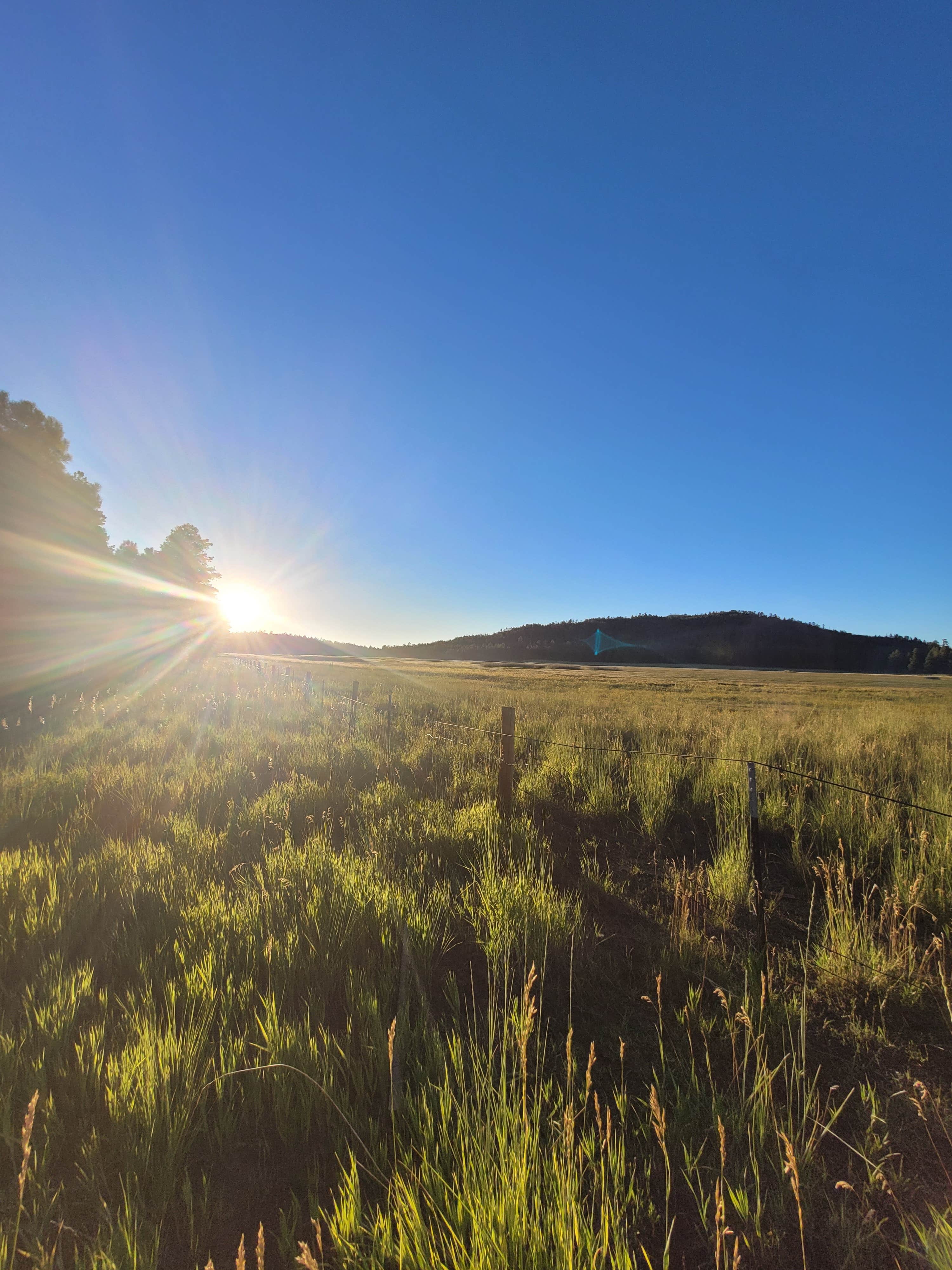 Tisha W.'s photo of a dispersed camping area at Coleman Lake Camp near Williams, AZ