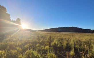 Tisha W.'s photo of a dispersed camping area at Coleman Lake Camp near Paulden, AZ