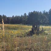 Review photo of Coleman Lake Camp by Tisha W., August 7, 2023