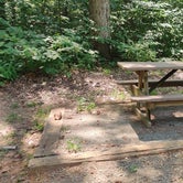 Review photo of Smith Mountain Campground by Austin H., August 7, 2023