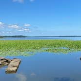 Review photo of Linesville Campground — Pymatuning State Park by Joni P., August 7, 2023