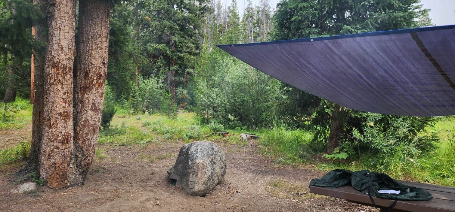 Camper submitted image from Grasshopper Campground and Picnic Area - 2
