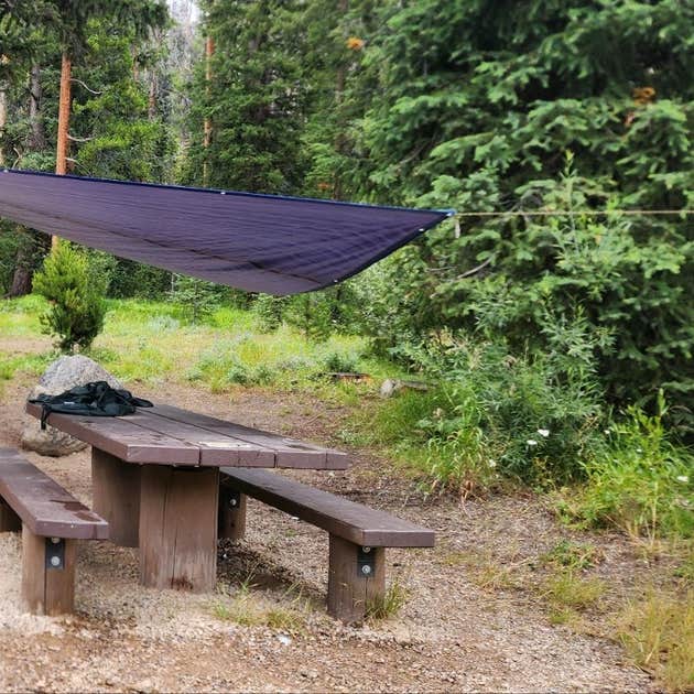 Campground and Picnic Area Camping The Dyrt