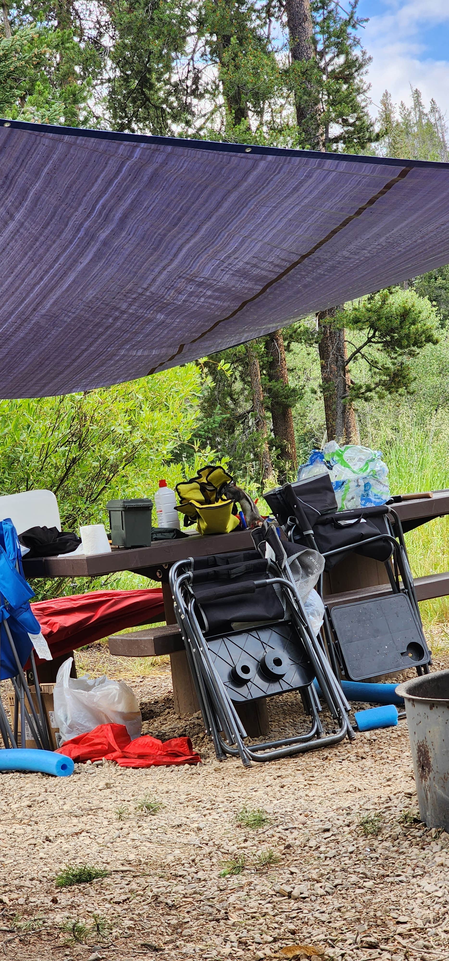 Camper-submitted photo at Grasshopper Campground and Picnic Area near Jackson, MT