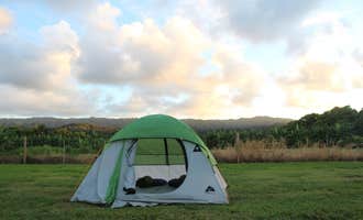 Camping near Peacock Flats - Mokuleia Forest Reserve: Maleka Farm, Wahiawa, Hawaii