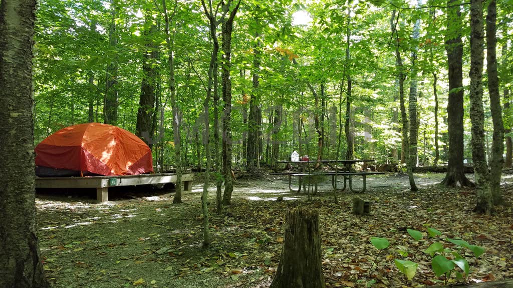 Jean C.'s photo at Dry River Campground — Crawford Notch State Park near White Mountain National Forest