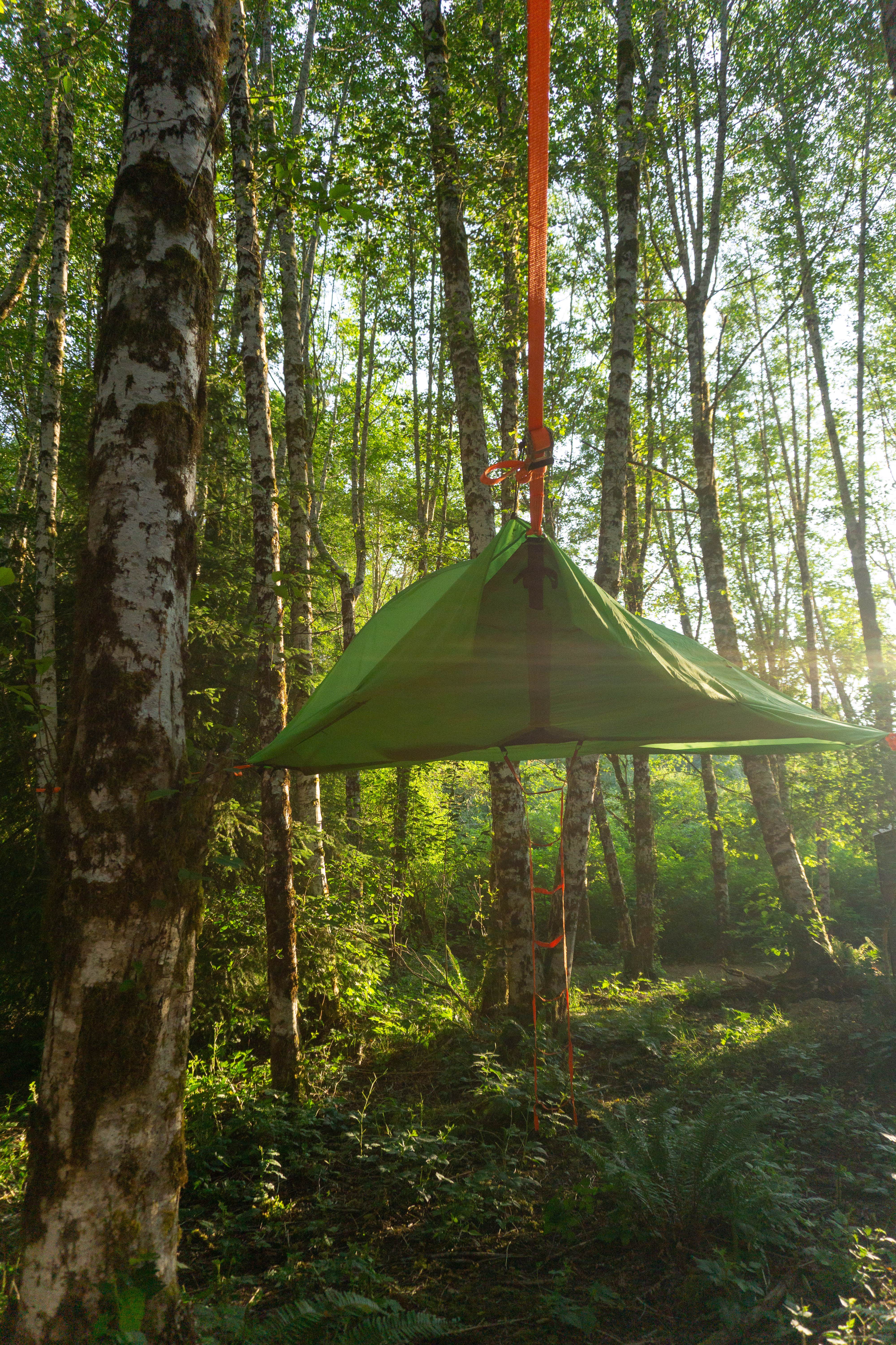 Roxanne's photo of tent camping at Wandering Woodlands near Taholah, WA