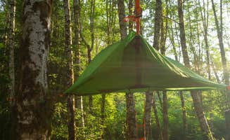 Roxanne's photo of tent camping at Wandering Woodlands in Washington