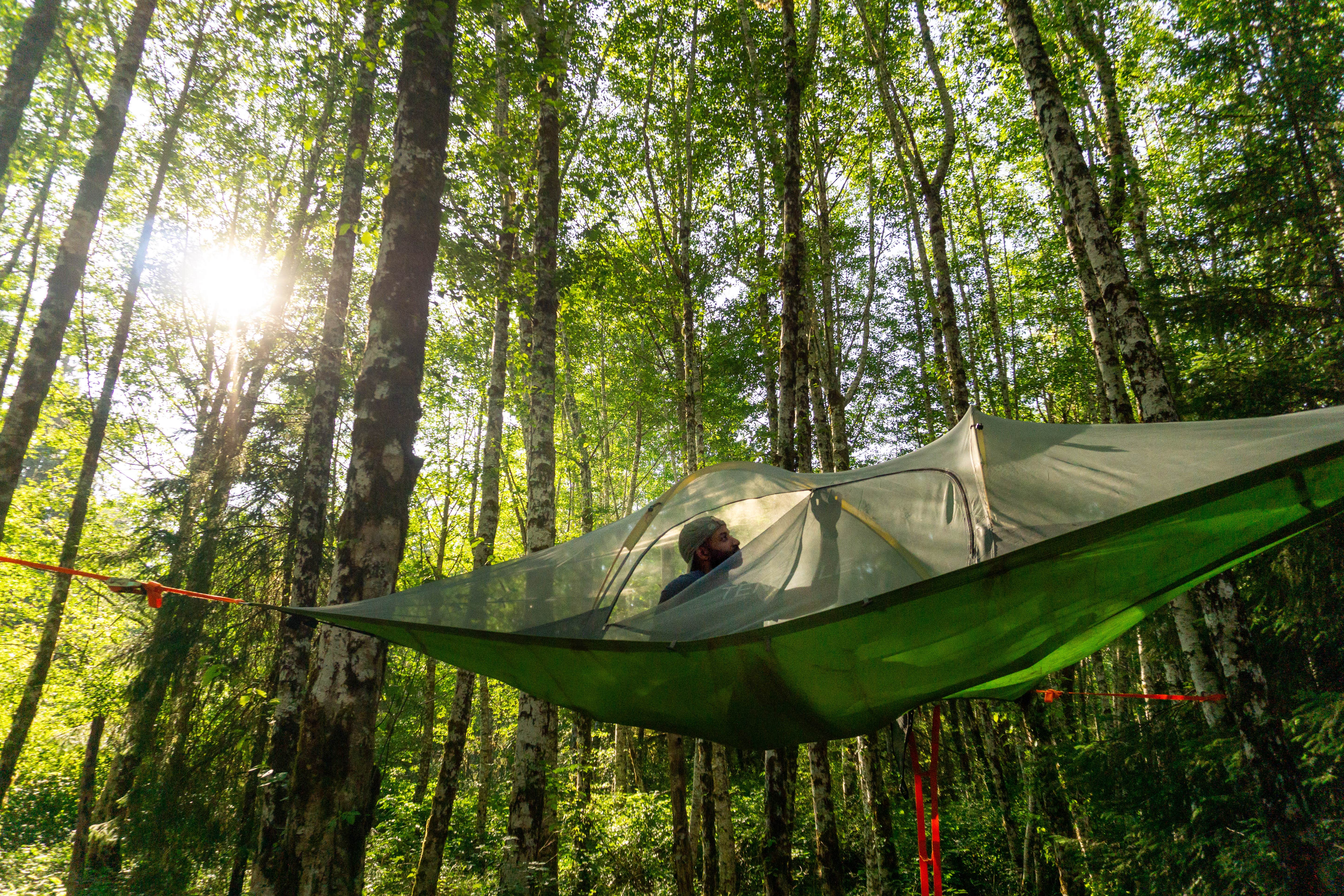 Roxanne's photo at Wandering Woodlands near Neah Bay, WA