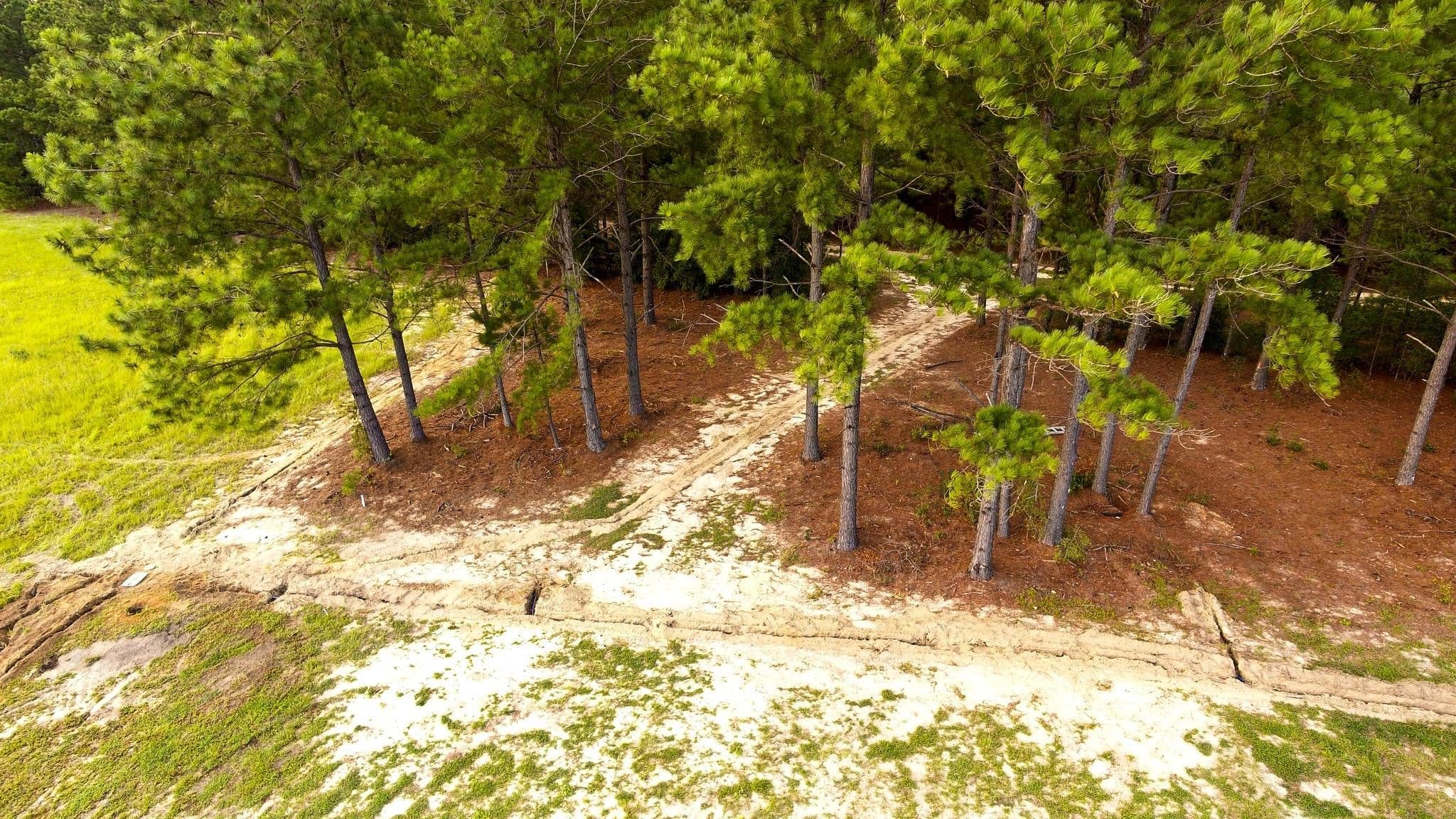 Camper-submitted photo at In The Pines RV Park near North Augusta, SC