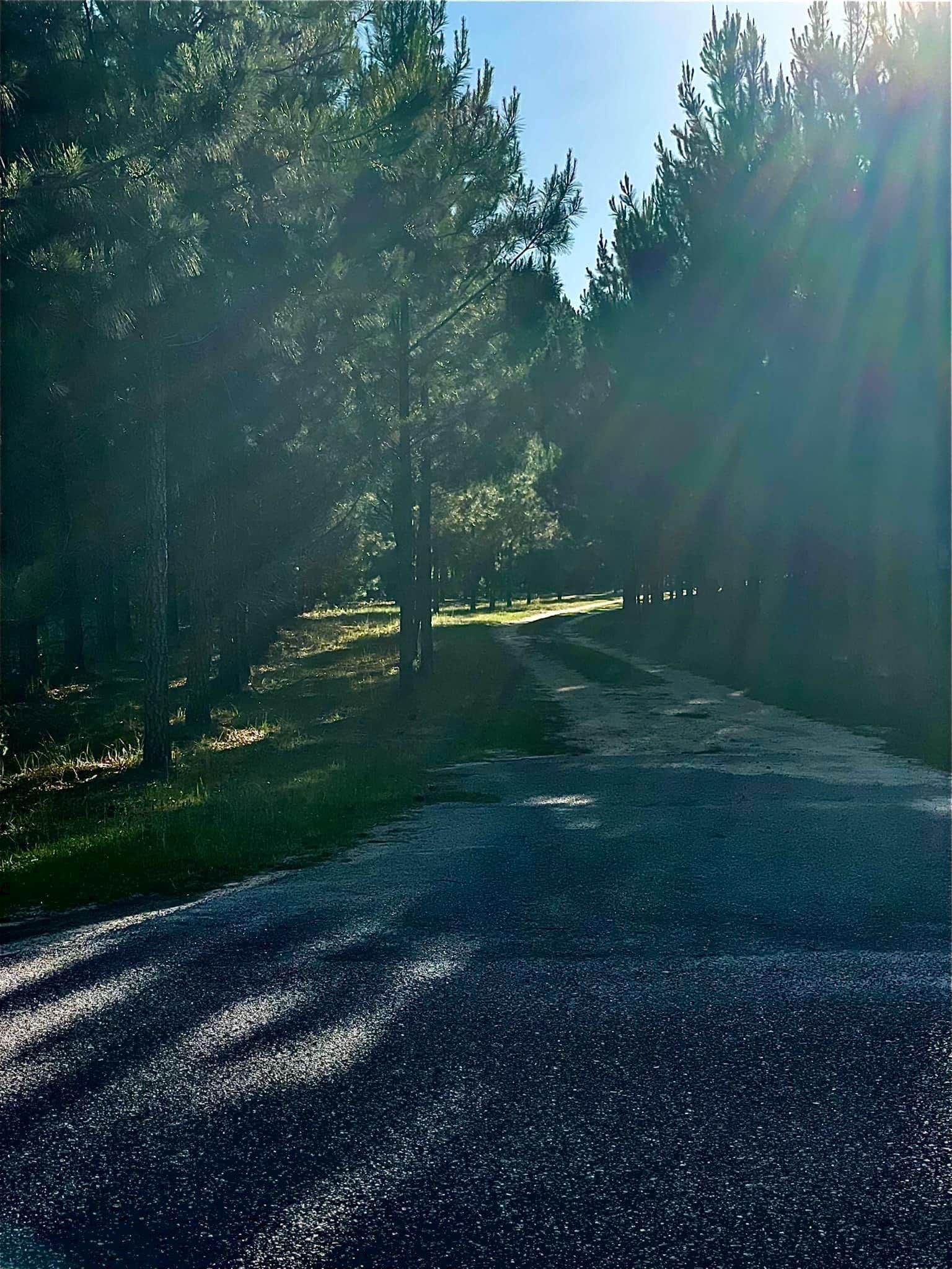 Camper-submitted photo at In The Pines RV Park near North Augusta, SC