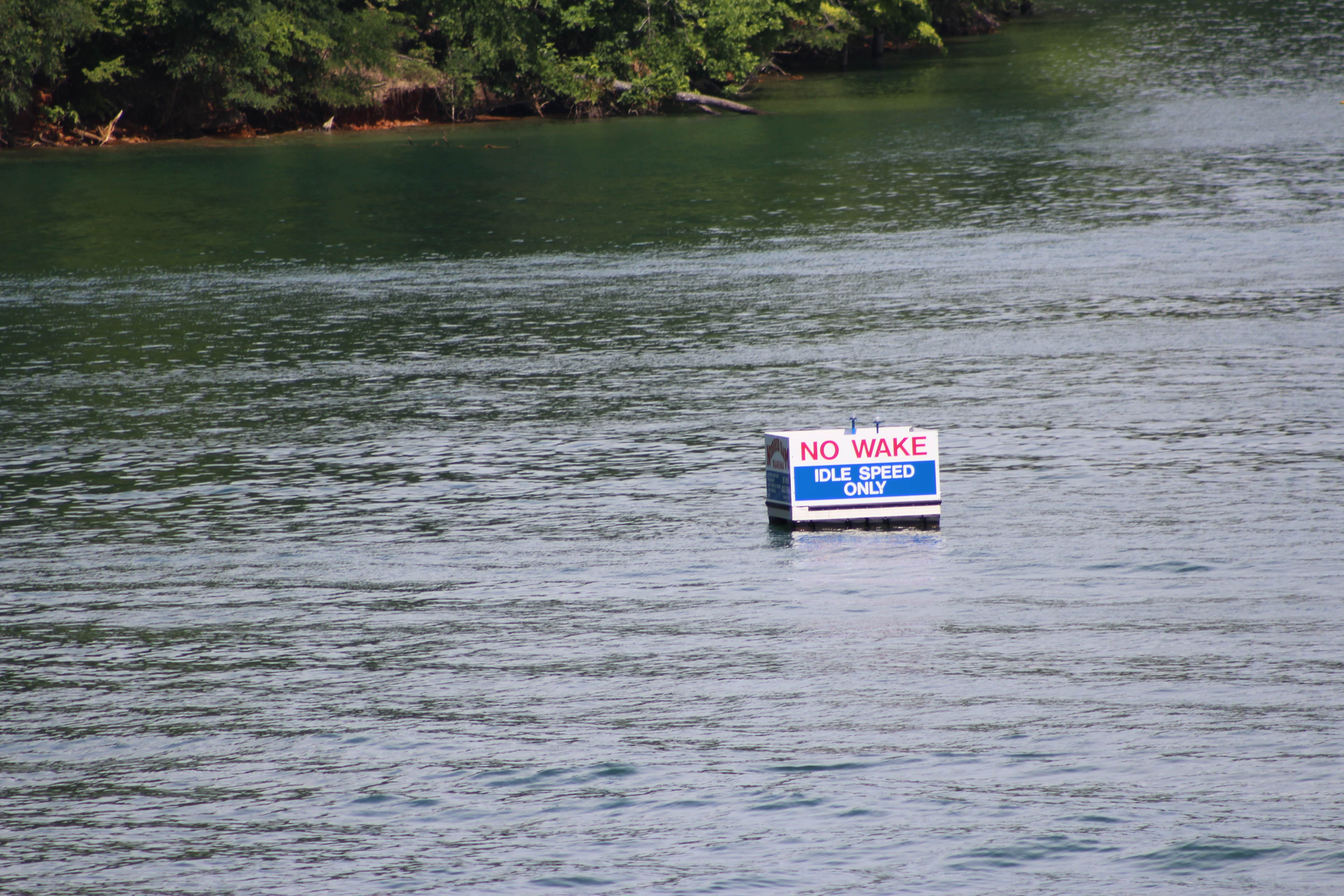 Camper submitted image from West Campground — Norris Dam State Park - 2