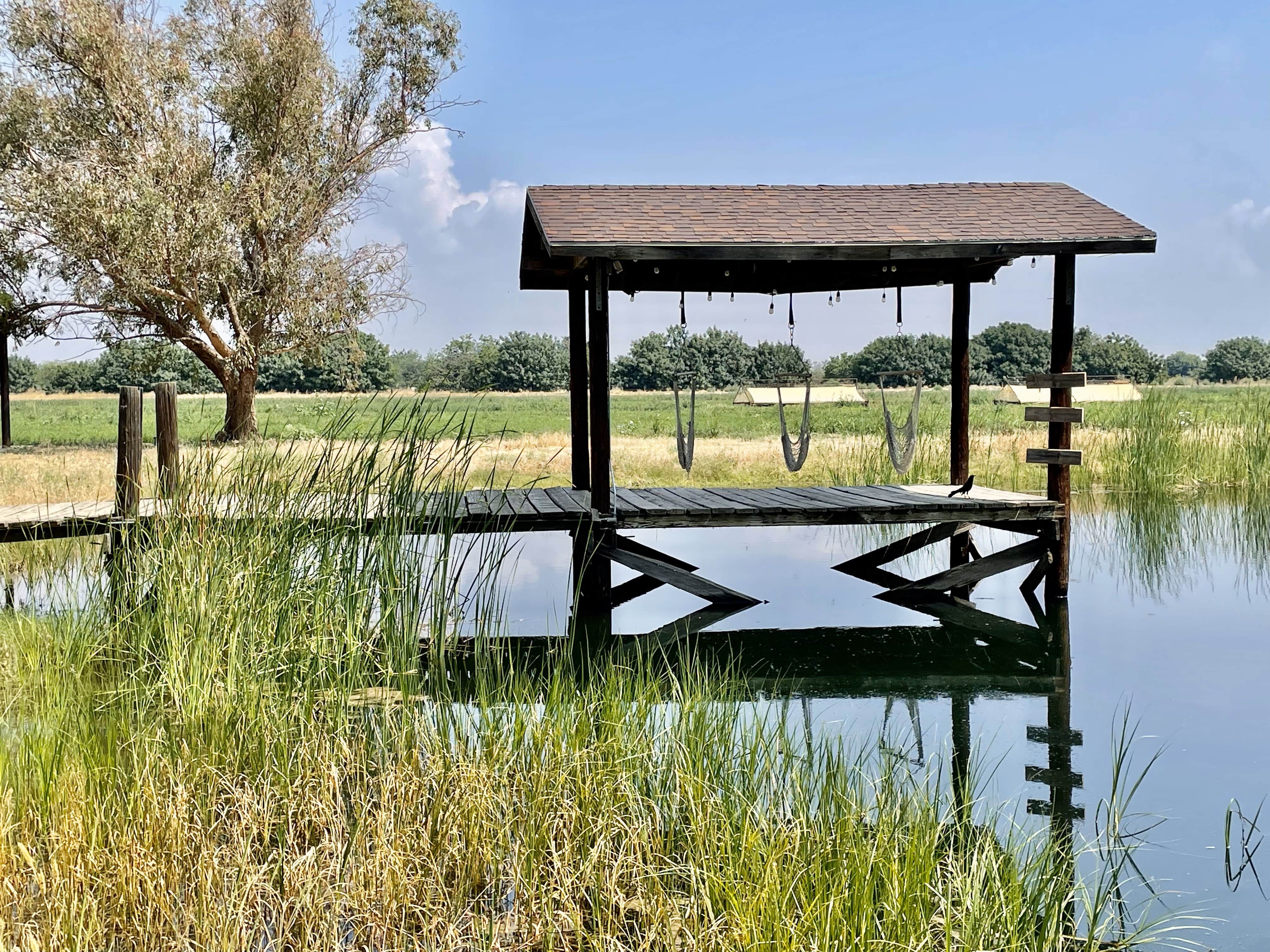 Camper-submitted photo at Autonomy Farms near Bear Valley Springs, CA