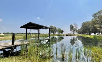 Meredith B.'s photo of tent camping at Autonomy Farms near Taft, CA