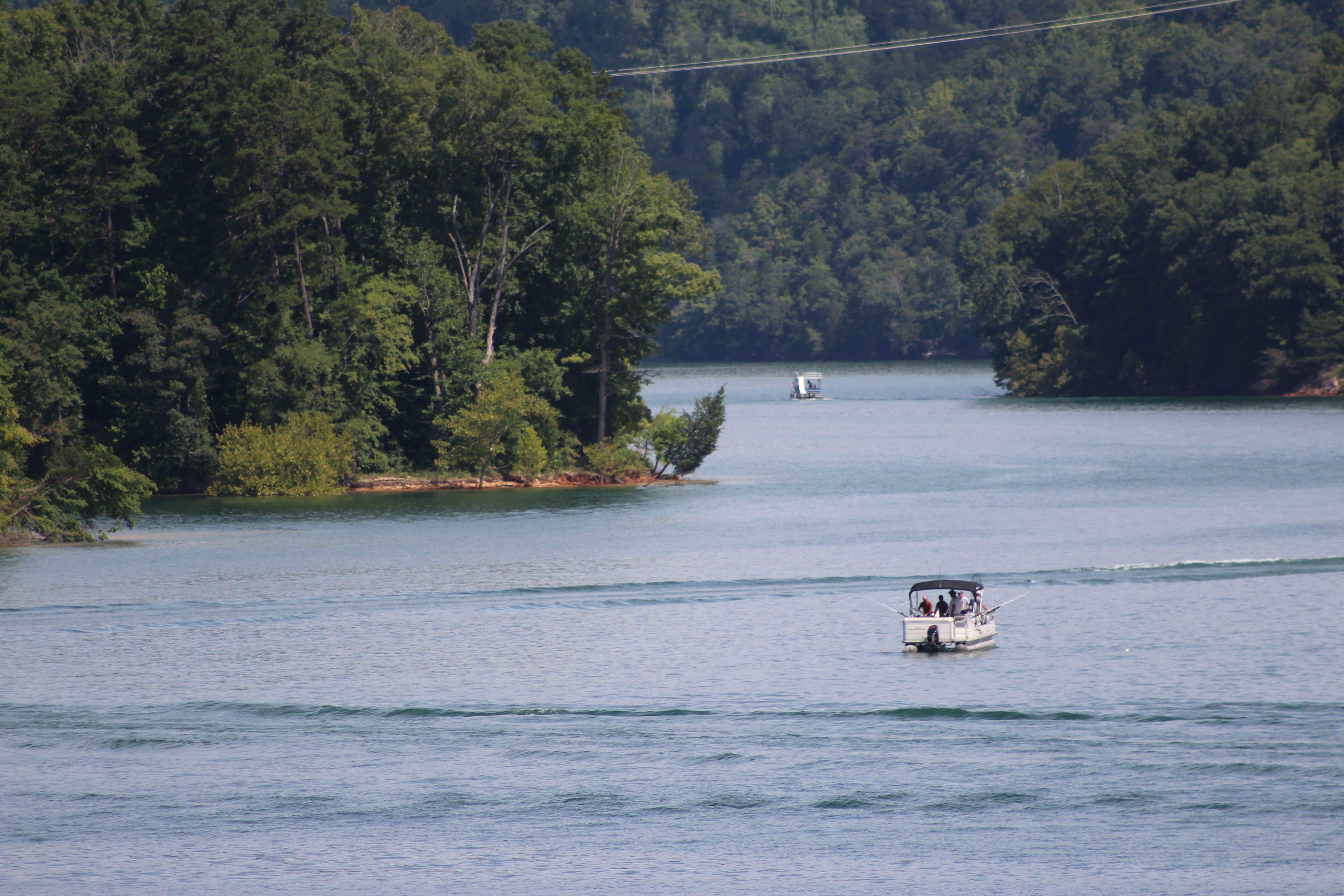Camper-submitted photo at West Campground — Norris Dam State Park near Knoxville, TN