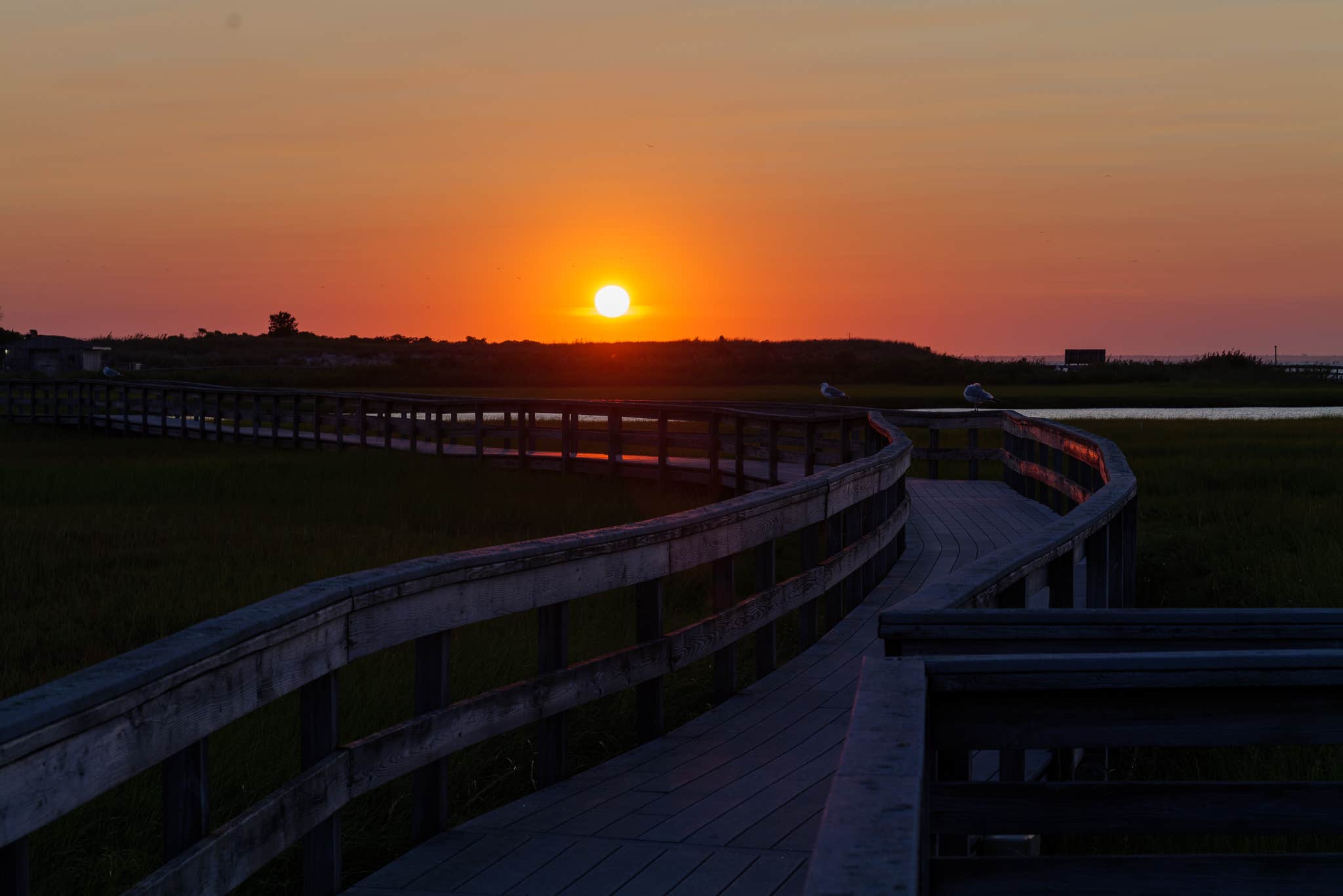 Camper-submitted photo at Watch Hill Fire Island Campground — Fire Island National Seashore near Seaford, NY