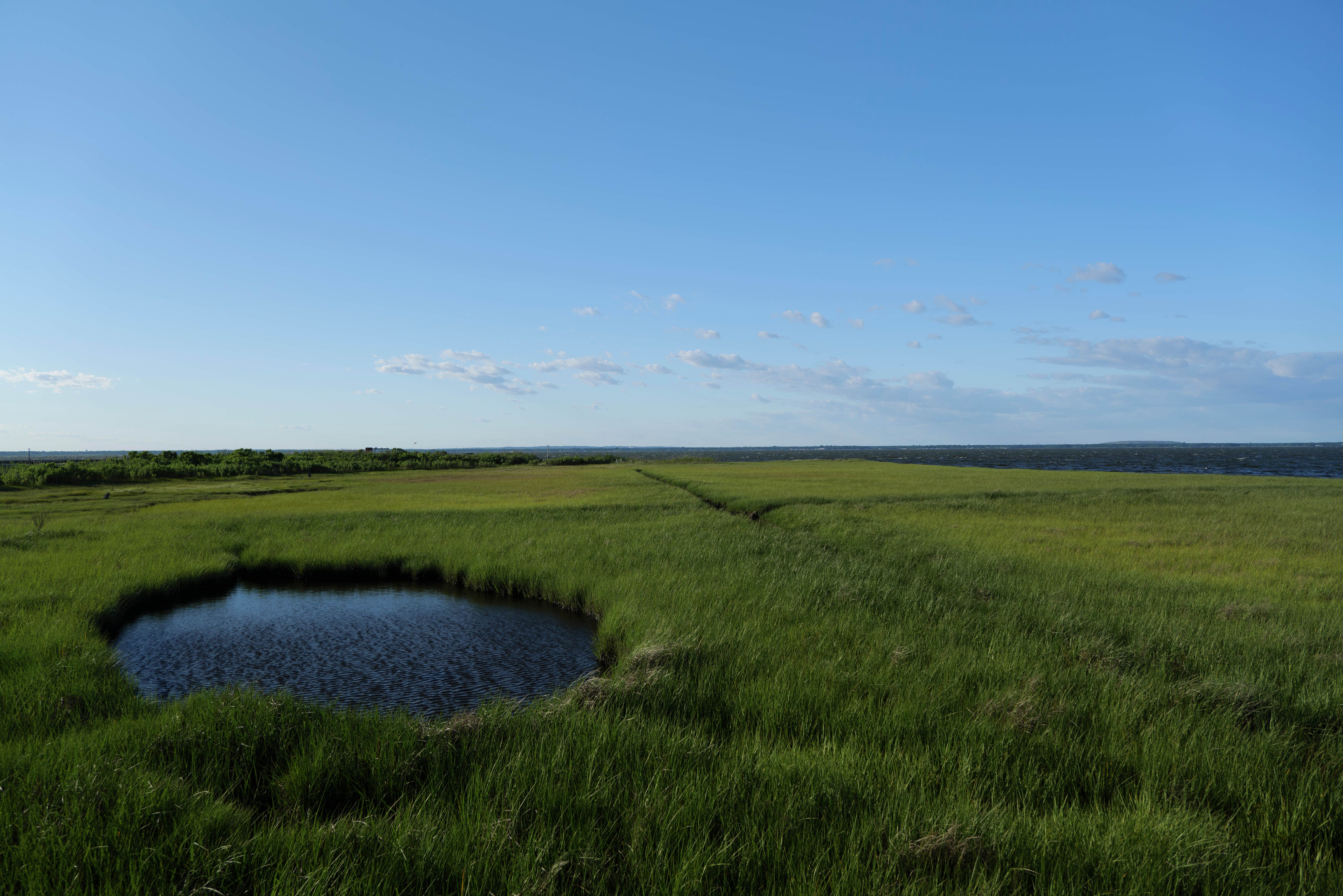 Camper-submitted photo at Watch Hill Fire Island Campground — Fire Island National Seashore near Seaford, NY
