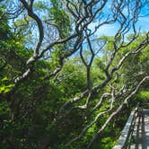 Review photo of Watch Hill Family Campground — Fire Island National Seashore by Igor K., August 8, 2023