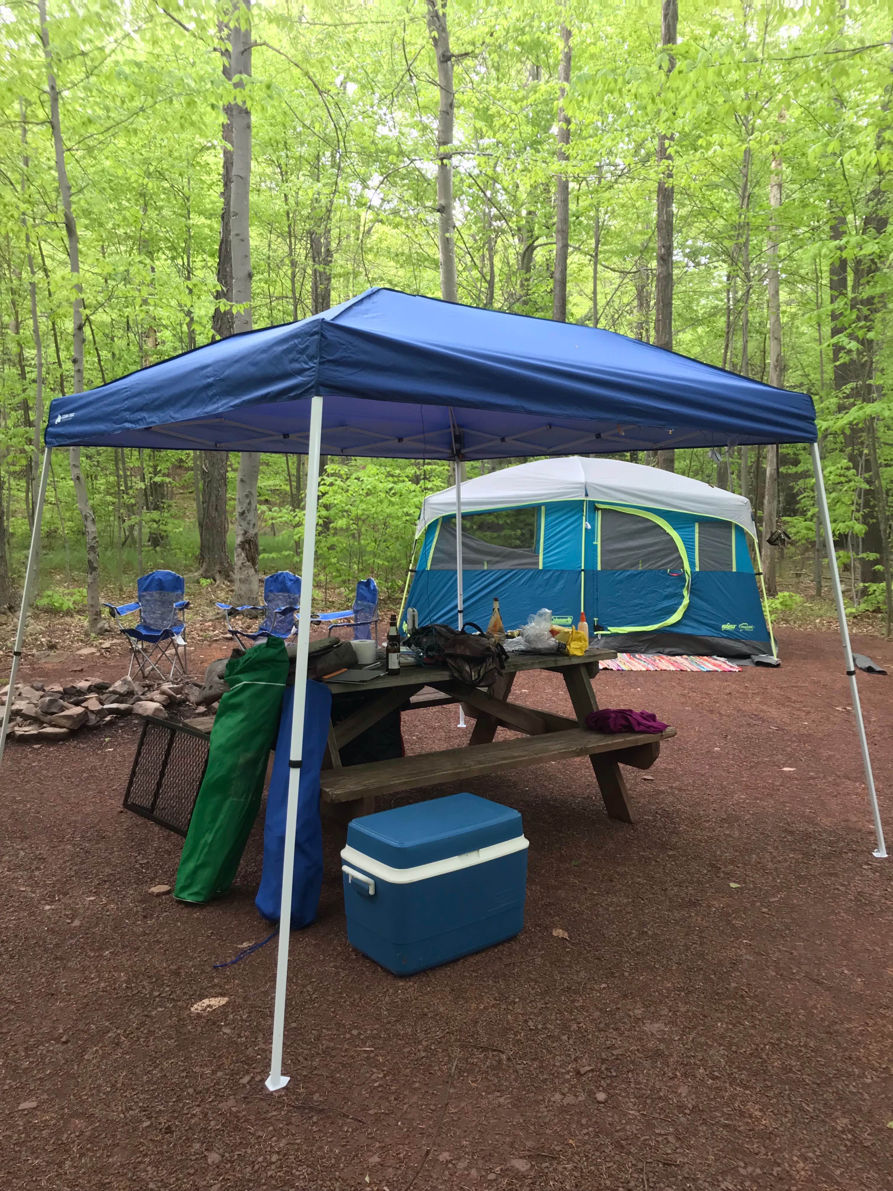 Camper submitted image from Pioneer Campground - 4
