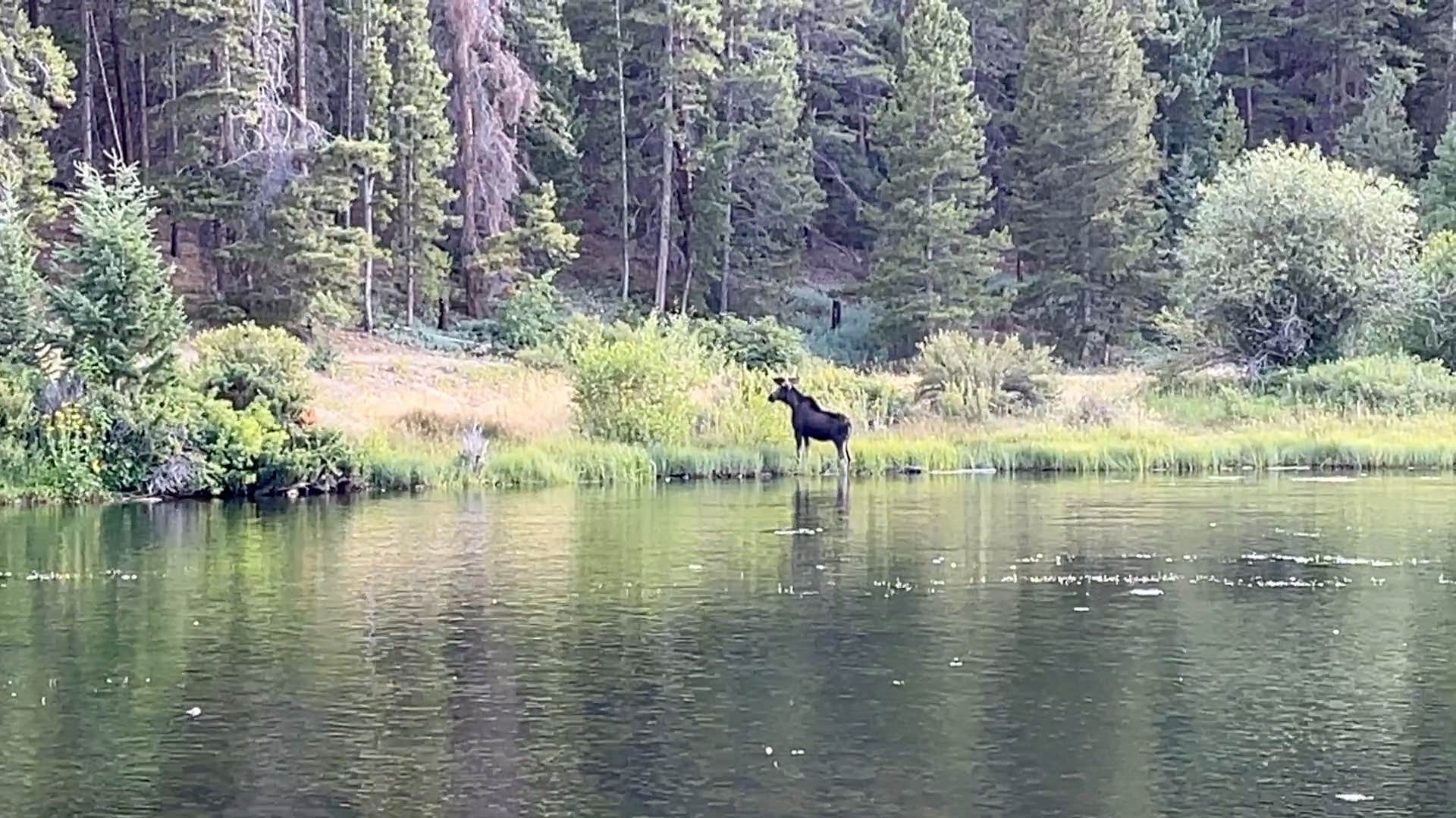Camper submitted image from Monarch Spur RV Park & Campground - 4