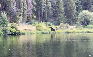Allen B.'s photo of camping with pets at Monarch Spur RV Park & Campground near Poncha Springs, CO