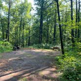 Review photo of Catskill/Kenneth L Wilson Campground by Sam L., August 8, 2023