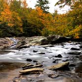 Review photo of Julian Price Park Campground — Blue Ridge Parkway by Lee D., October 26, 2018