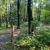 Review photo of Catskill/Kenneth L Wilson Campground by Sam L., August 8, 2023