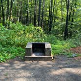 Review photo of Catskill/Kenneth L Wilson Campground by Sam L., August 8, 2023