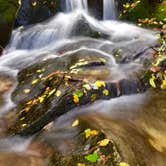 Review photo of Julian Price Park Campground — Blue Ridge Parkway by Lee D., October 26, 2018
