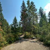 Review photo of Yaak River Campground by Tee C., August 8, 2023