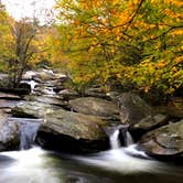 Review photo of Julian Price Park Campground — Blue Ridge Parkway by Lee D., October 26, 2018