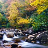 Review photo of Elkmont Campground — Great Smoky Mountains National Park by Lee D., October 26, 2018