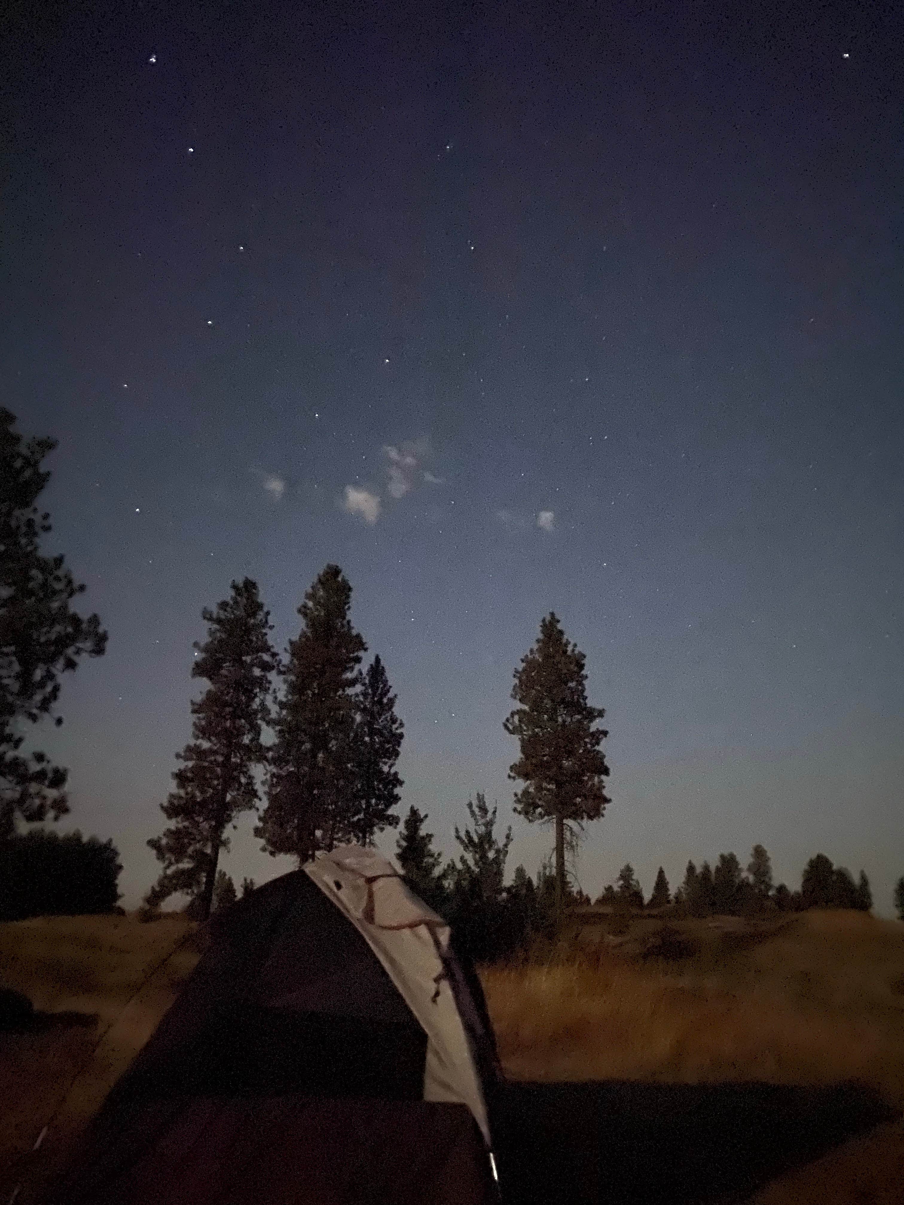 Anam S.'s photo of a dispersed camping area at Hog Lake Campground near Spokane, WA