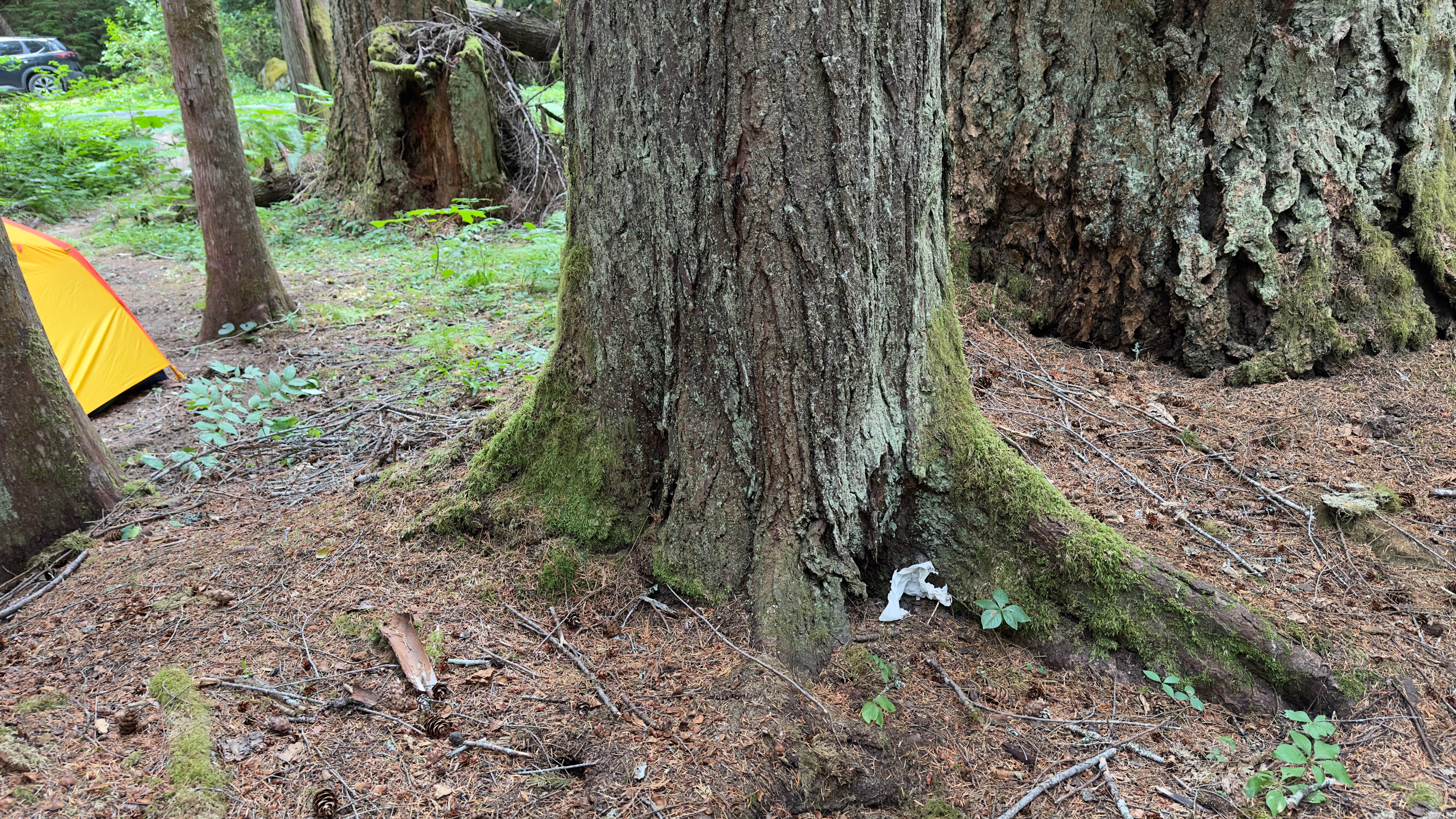 Camper-submitted photo at Old Cascades Highway Dispersed near Index, WA