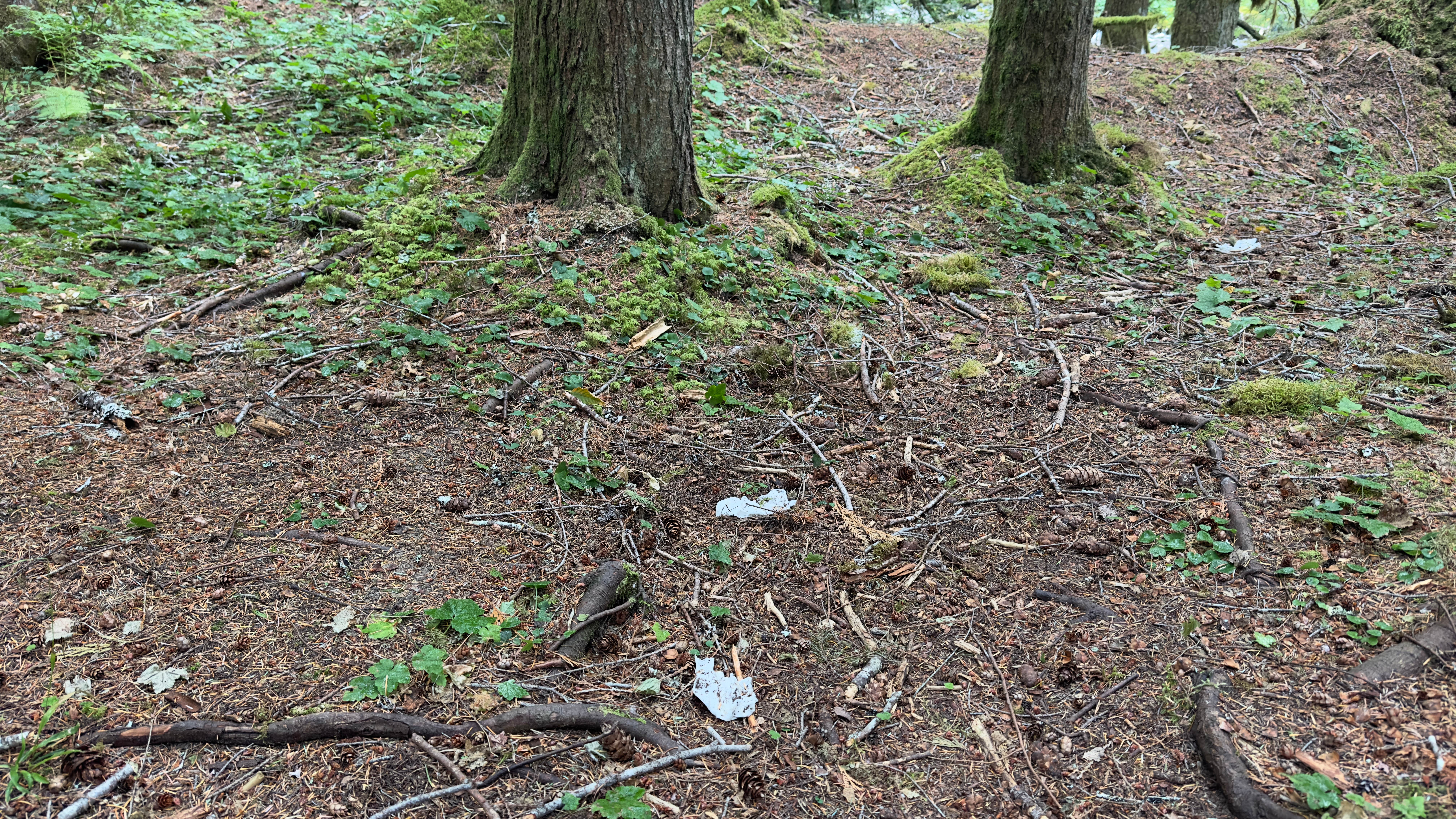 Camper-submitted photo at Old Cascades Highway Dispersed near Index, WA