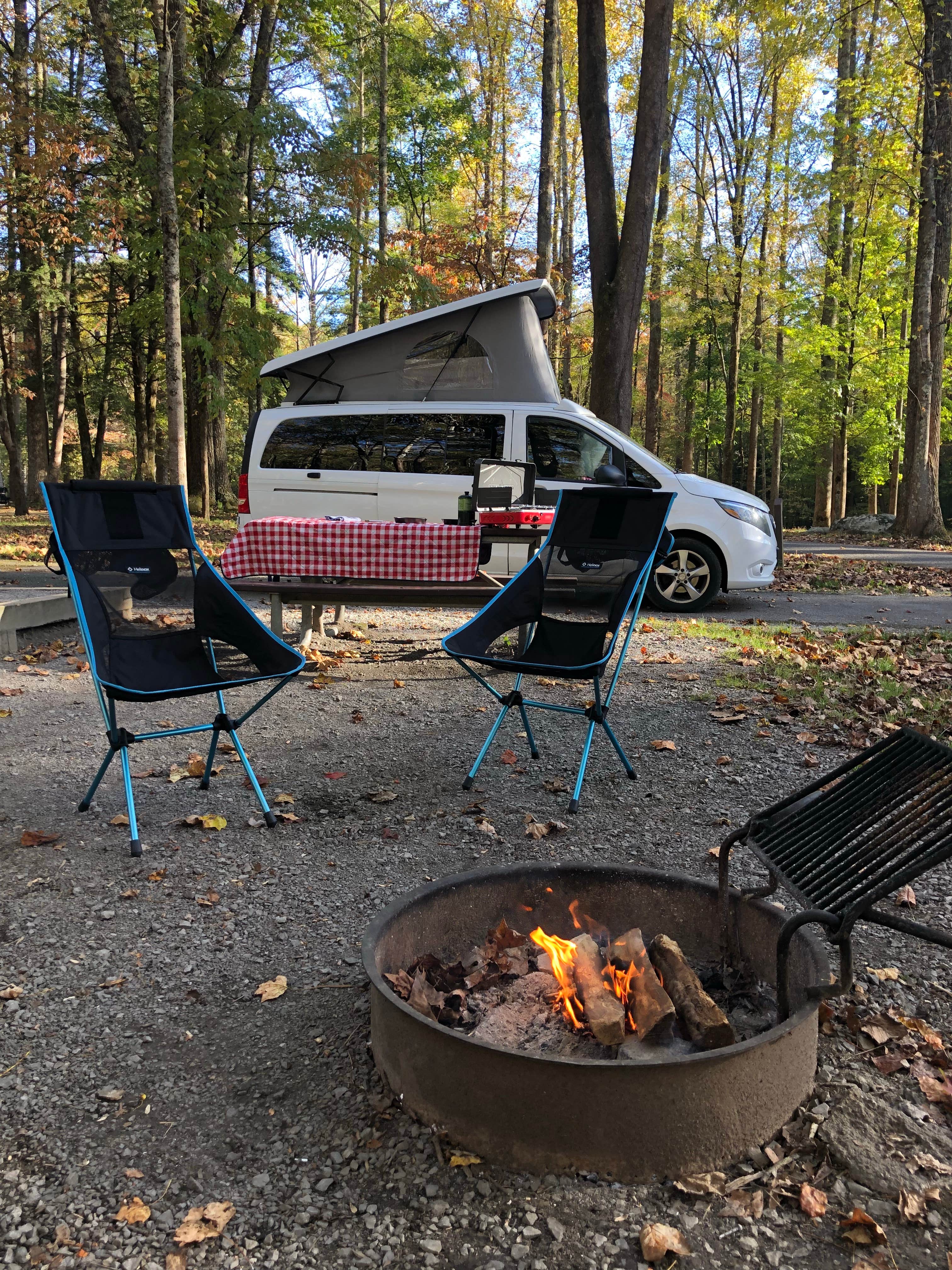 Lee D.'s photo at Elkmont Campground — Great Smoky Mountains National Park near Great Smoky Mountains National Park