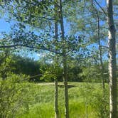Review photo of Sunshine Campground by Oliver V., August 8, 2023